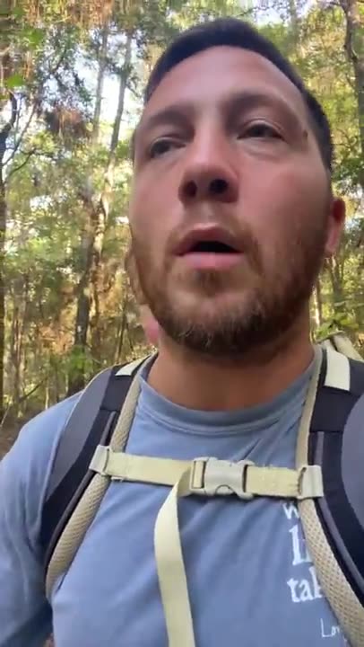 Every Move You Make--Police Cover