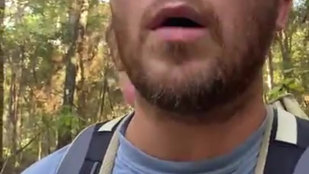 Every Move You Make--Police Cover