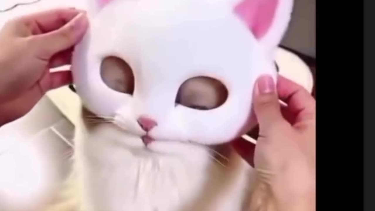 So CUUUUTE