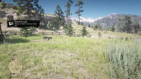 Red Dead Redemption 2 2025098948989 1899 ohiowhat in theworld is ohio 38478478947289478397483