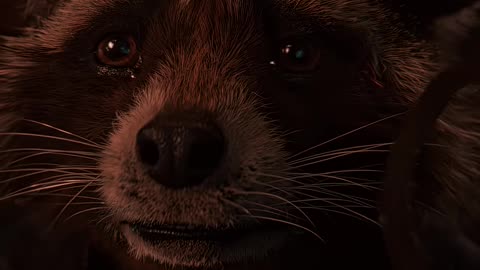 Groot's Sacrifice ｜ Guardians of the Galaxy Edit ｜ Song - Kamin