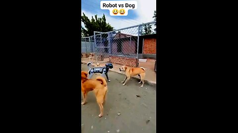 #robot Vs dog #funny
