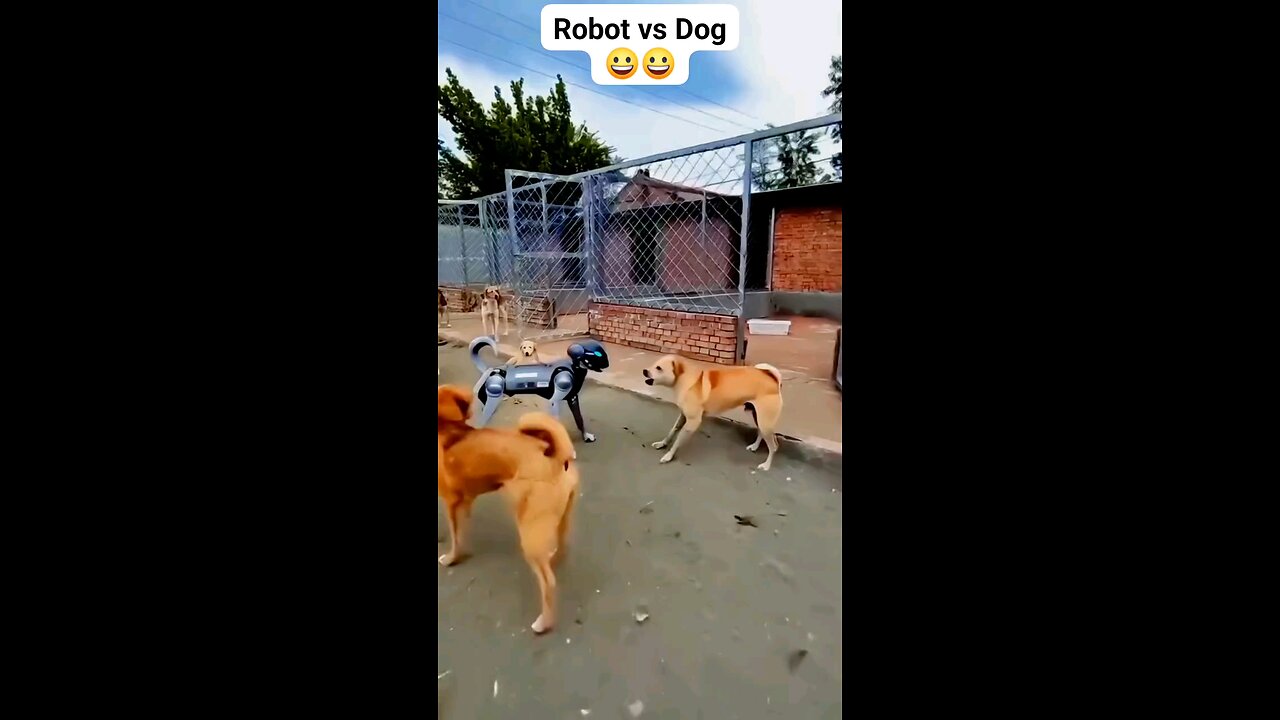 #robot Vs dog #funny