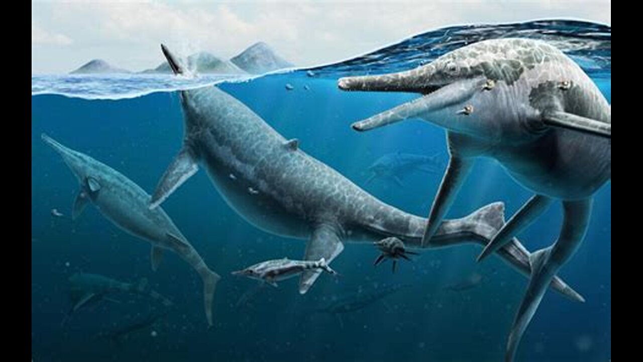 Silent Sea monster Uncovered!