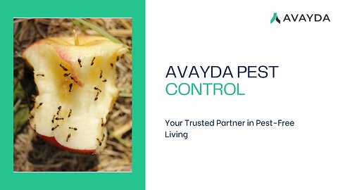 Avayda Pest Control: Top Pest Exterminator Vancouver BC Solution