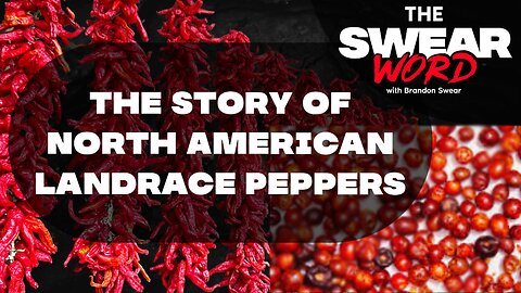 Seeds of Fire: The Story of North American Landrace Peppers | The Swear Word: Ep 137