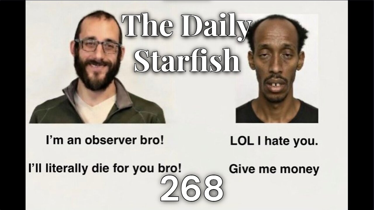 The Daily Starfish #268