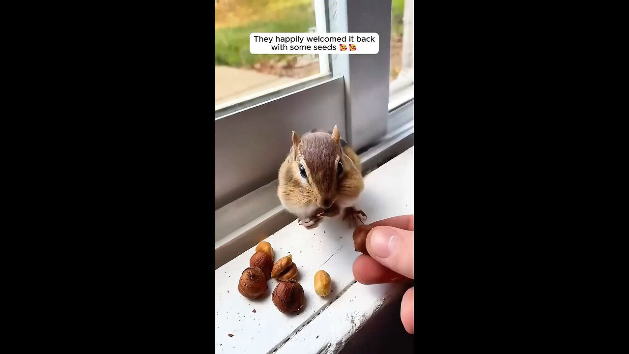 This boy rescued a baby chipmunk from drowning and then ... #chipmunk #cuteanimals #animallovers