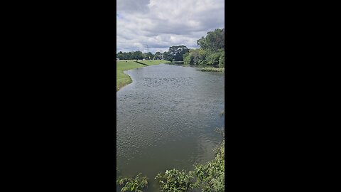 Documenting the Salt Creek Flooding - Aug. 20th, 2025