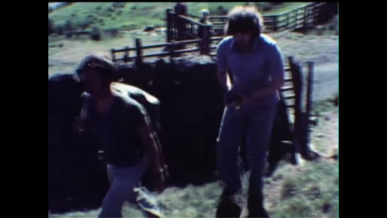 Plumes To Peregrines 1978