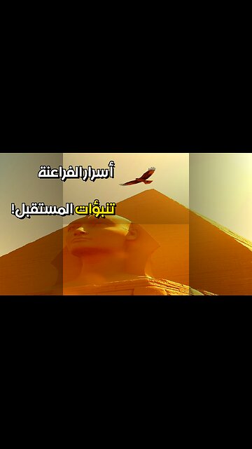 أحلام الفراعنة هل تنبأت بالمستقبل؟ ️ #مقاطع_قصيرة