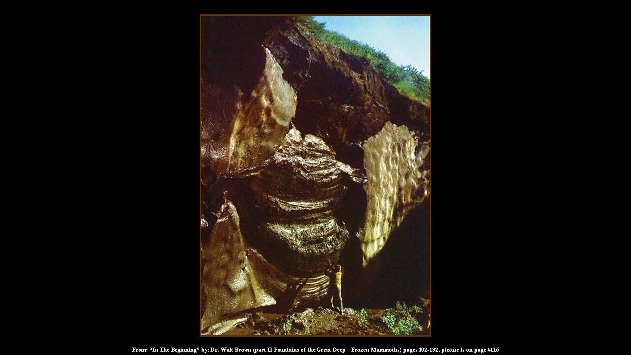 The Edomas and "Noah's Wood"