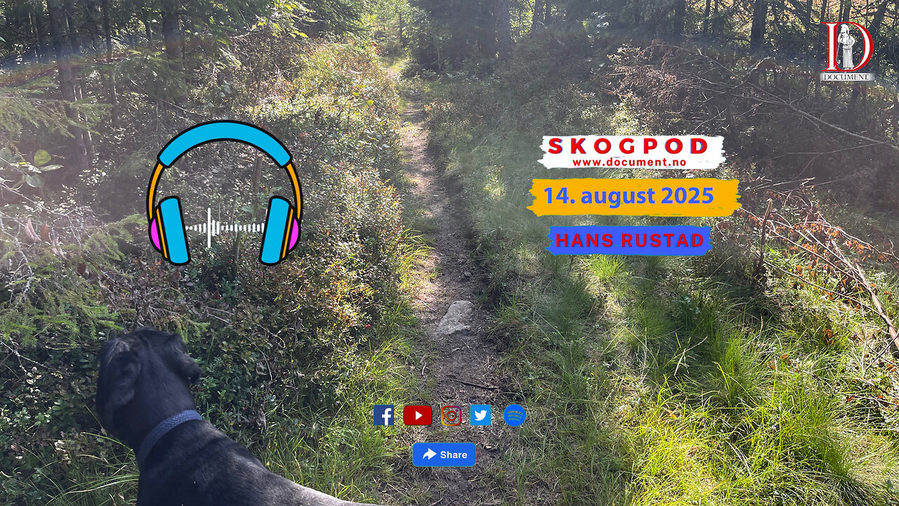 Skogpod 14. august 2025