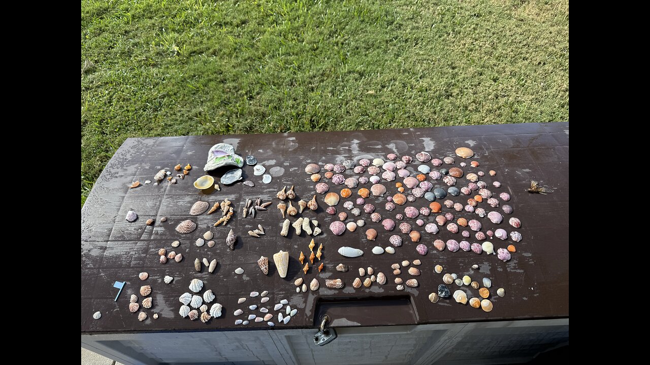 Beach Finds 4/25/2025 | 4K