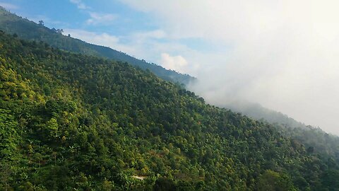 A Mist In A Mountain Forest