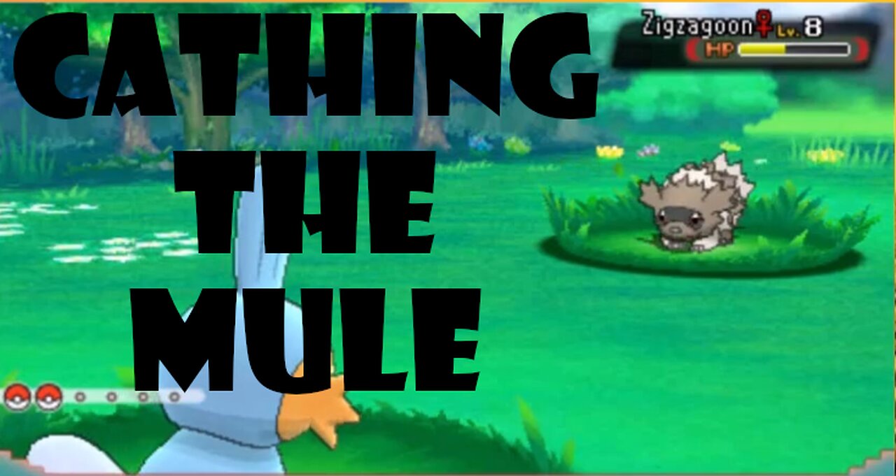 Pokemon Omega Ruby Specializing In Ground Type Pokemon Playthrough 9.4