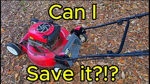 Can I Save My 19+ Year Old Craftsman Gold 6.5 HP Briggs and Stratton Lawnmower