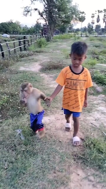 Best SokYaa, OG, Pao & Mom Are Videomous Around The World #shorts #anime #trend #edit