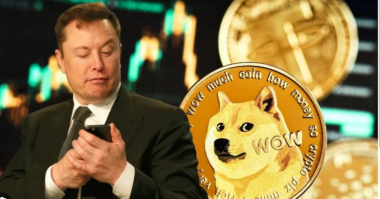 Elon Musk Shares Most Outrageous Discoveries by DOGE