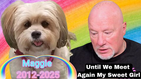 A Legacy of Love: Maggie, The Dog Who Touched Thousands of Hearts ❤️