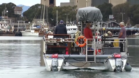 🐠California Fishermen Support a Ban on Wind Generators