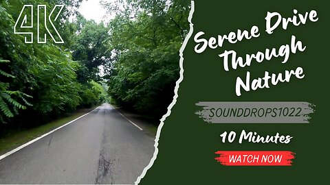 10 Minutes of Serene Driving Through Nature