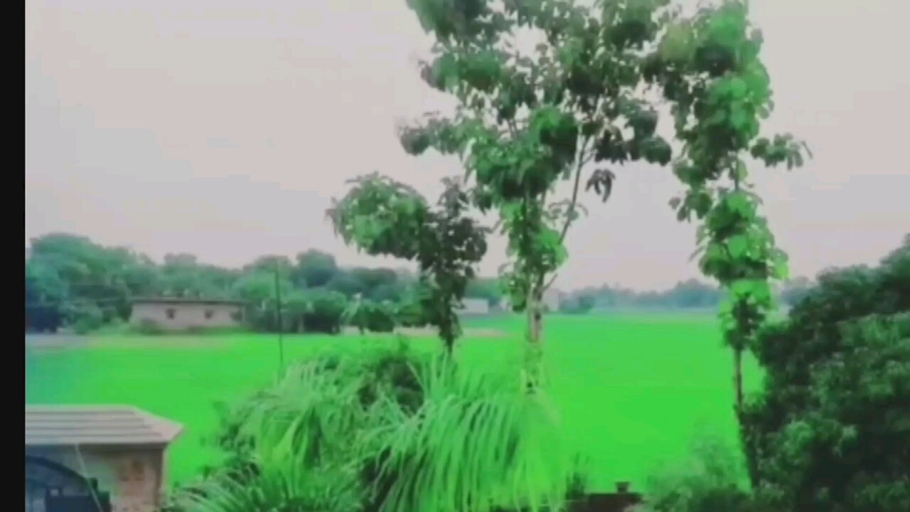 Mini vlog