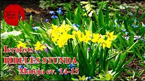 Bībeles stundas tiešraides ieraksts, 24.04.2025.