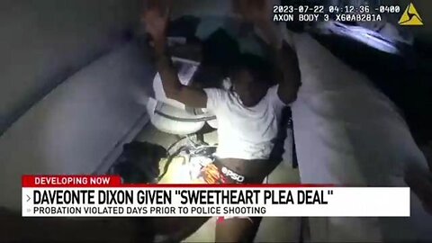 Sweetheart plea deals for niggers only