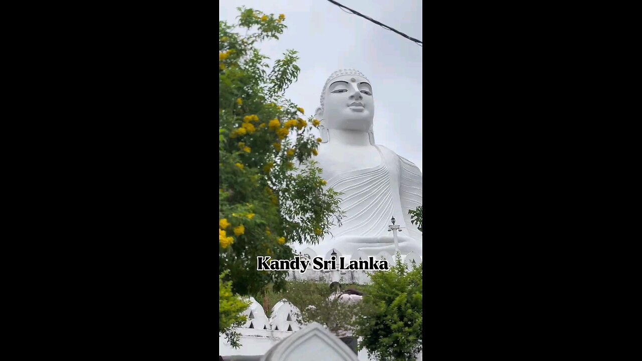 Welcome to Sri Lanka 🇱🇰