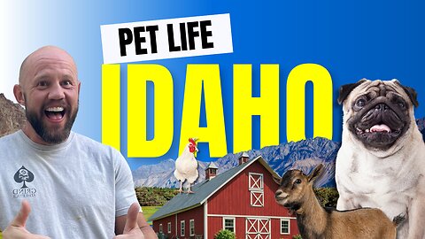 Moving to North Idaho with Pets? Watch This First!