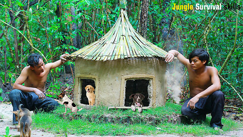 Rescue Dog and building a Dog House for Puppies
