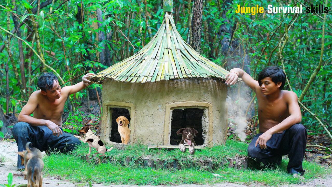 Rescue Dog and building a Dog House for Puppies