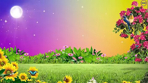 nature video frame