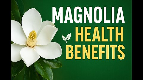 Discover the Healing Power of the Magnolia Tree 🌸🌿
