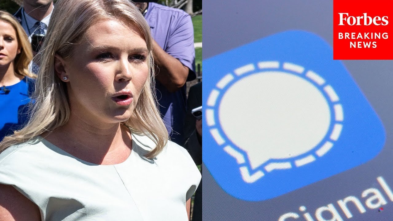 'This Case Has Been Closed': Karoline Leavitt Defends Waltz, Trump Team After Signal Leak