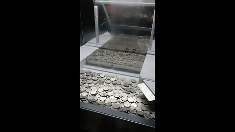Coin Pusher LIVE STREAM