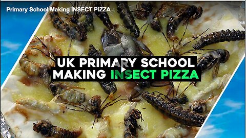 "UK Primary School Creates Insect Pizza for Students"