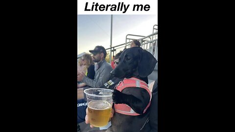 Memes That Will 99.0122% Make You Laugh. (e346)