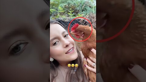 Funny Animals #funnyanimals #animalsfunny #pets #shorts