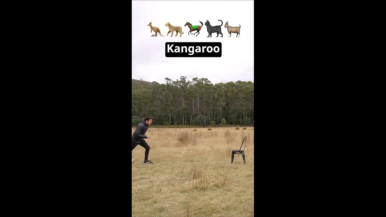 if animals glitched IRL