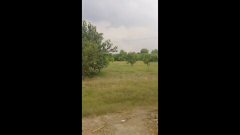 beautiful nature video