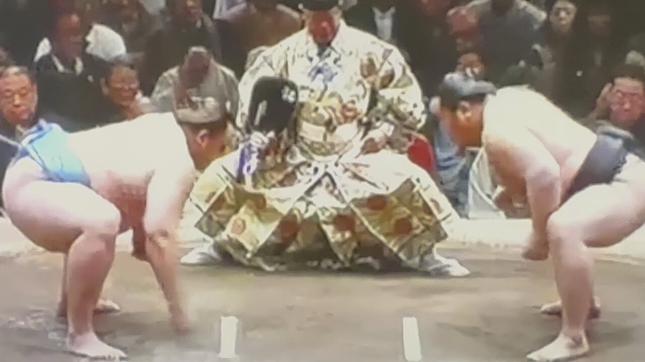 Sumo