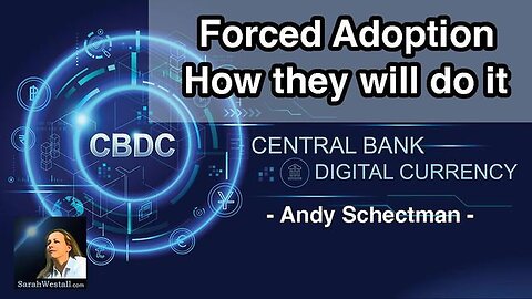 "Exploring CBDC Adoption & Petro Dollar's End with Andy Schectman"