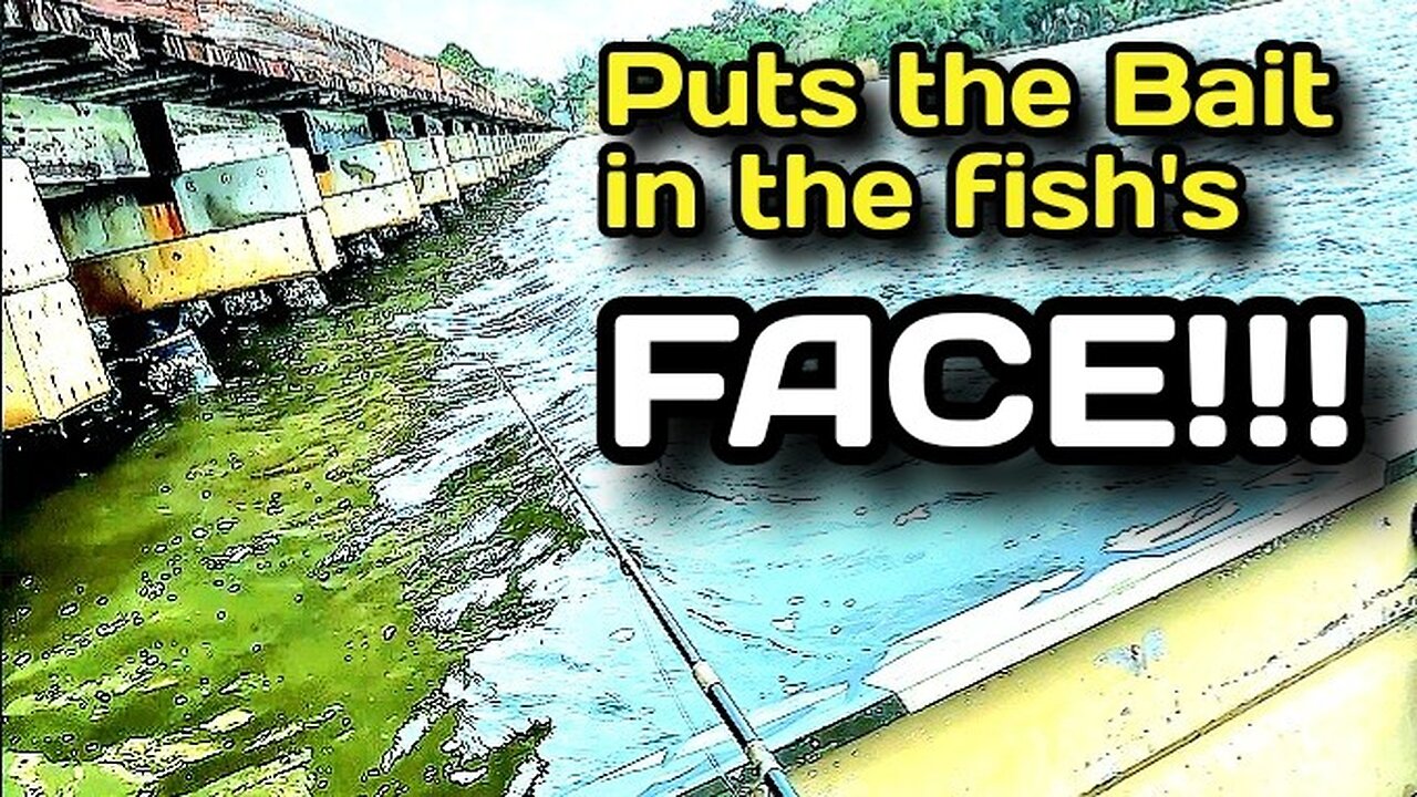 This DIY Method of Fishing Puts Your Bait Right In The Fish's Face