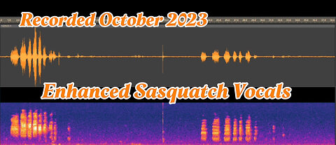 Bigfoot mimics a duck? Enhanced audio and spectrogram results! October 2023