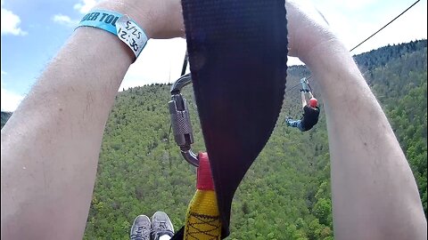 Flying Through The Mountain Trees