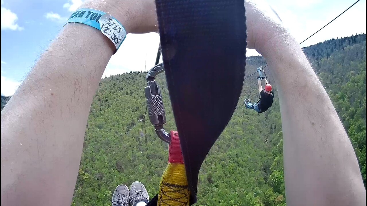 Flying Through The Mountain Trees