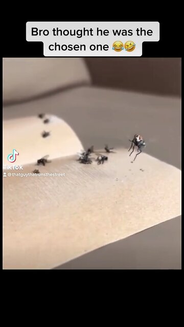 Just trying to overcome average