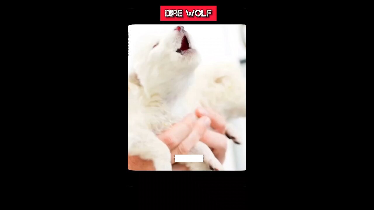 প্রাচীন Diar Wolf আবার ফিরছে! | De-extinction Explained in Bengali